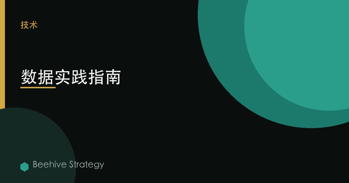 数据实践指南